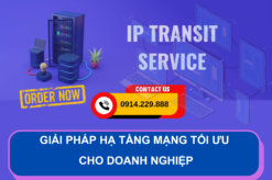 VNPT Ip Transit - Giải pháp hạ tầng mạng tối ưu cho doanh nghiệp