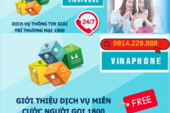 Dịch vụ tổng đài 1800,1900 VNPT - Giải pháp chăm sóc khách hàng tối ưu cho các doanh nghiệp