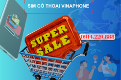 SIM có thoại VNPT - Tiện ích nghe gọi mọi lúc, mọi nơi